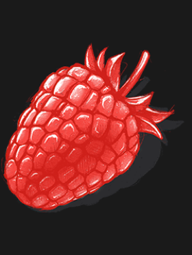 Logo Berry