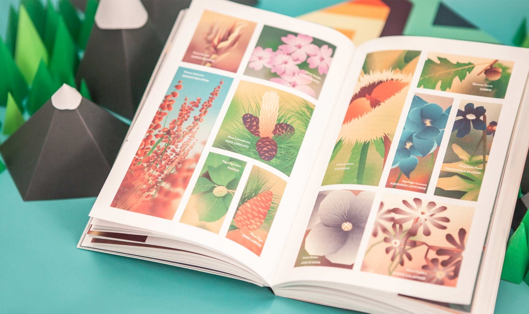 Double page flower illustrations by The Visual Agency