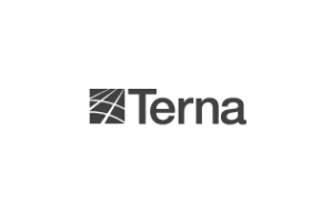 Terna